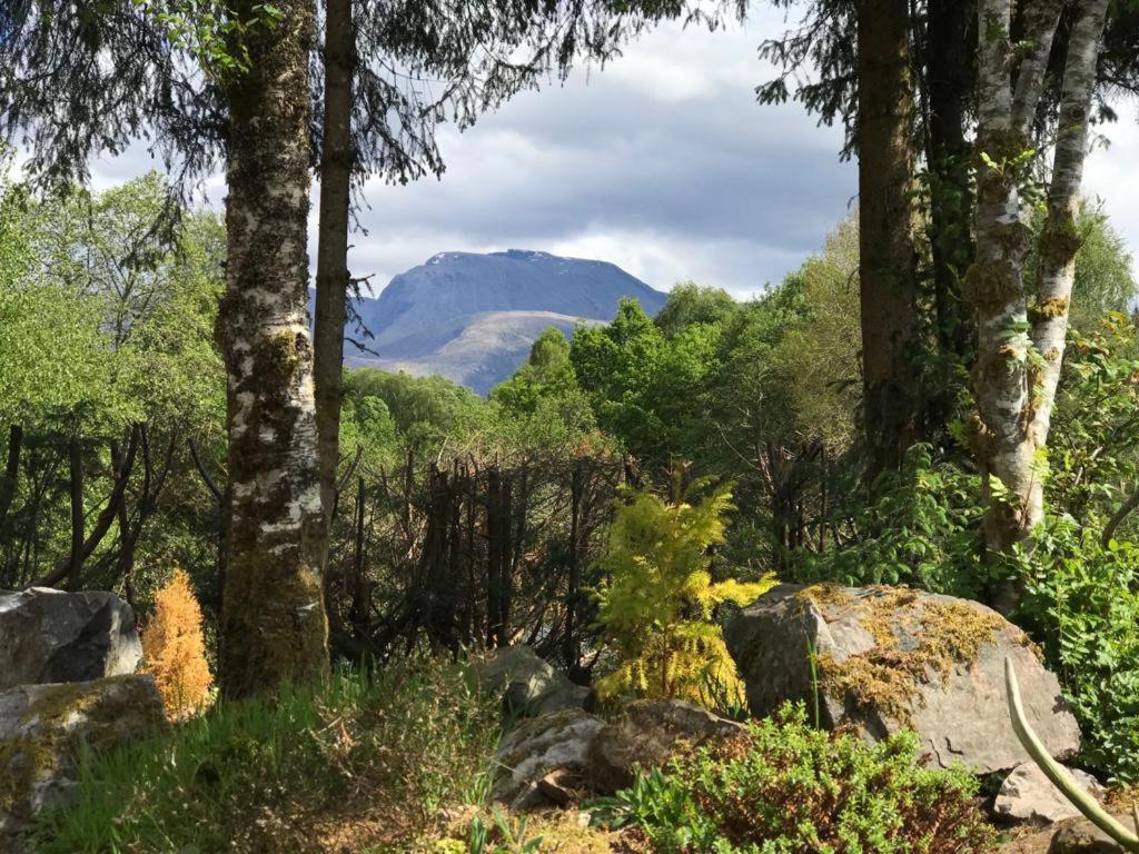 Tom Beag - Ben Nevis View Rooms フォート・ウィリアム エクステリア 写真
