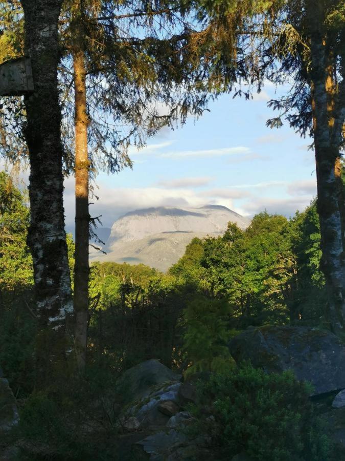 Tom Beag - Ben Nevis View Rooms フォート・ウィリアム エクステリア 写真