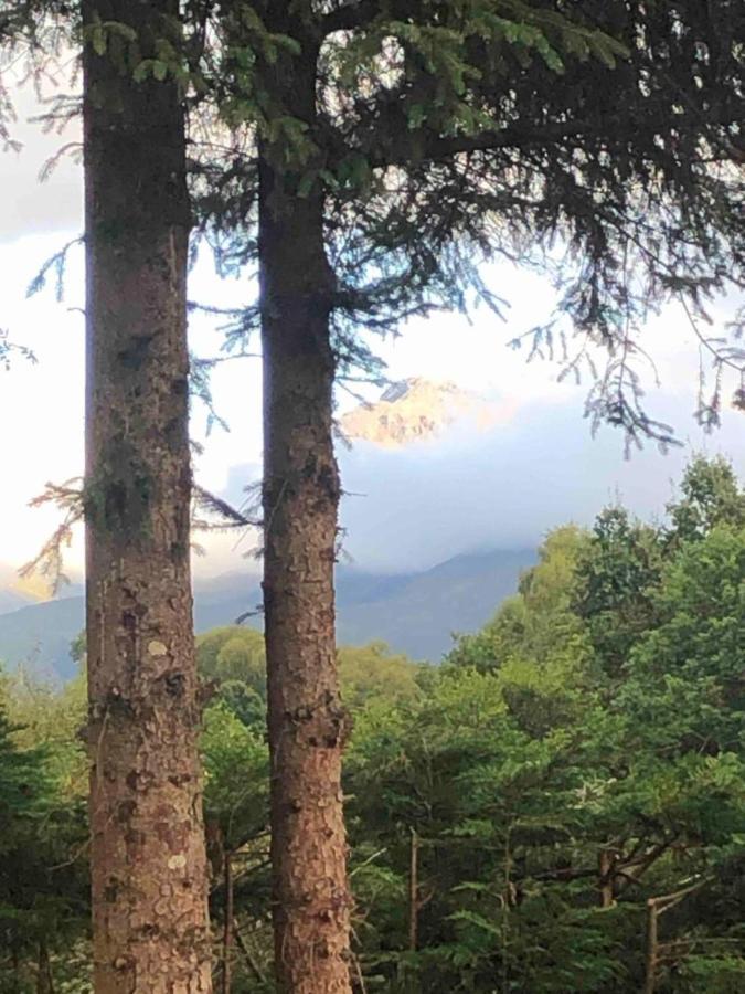 Tom Beag - Ben Nevis View Rooms フォート・ウィリアム エクステリア 写真