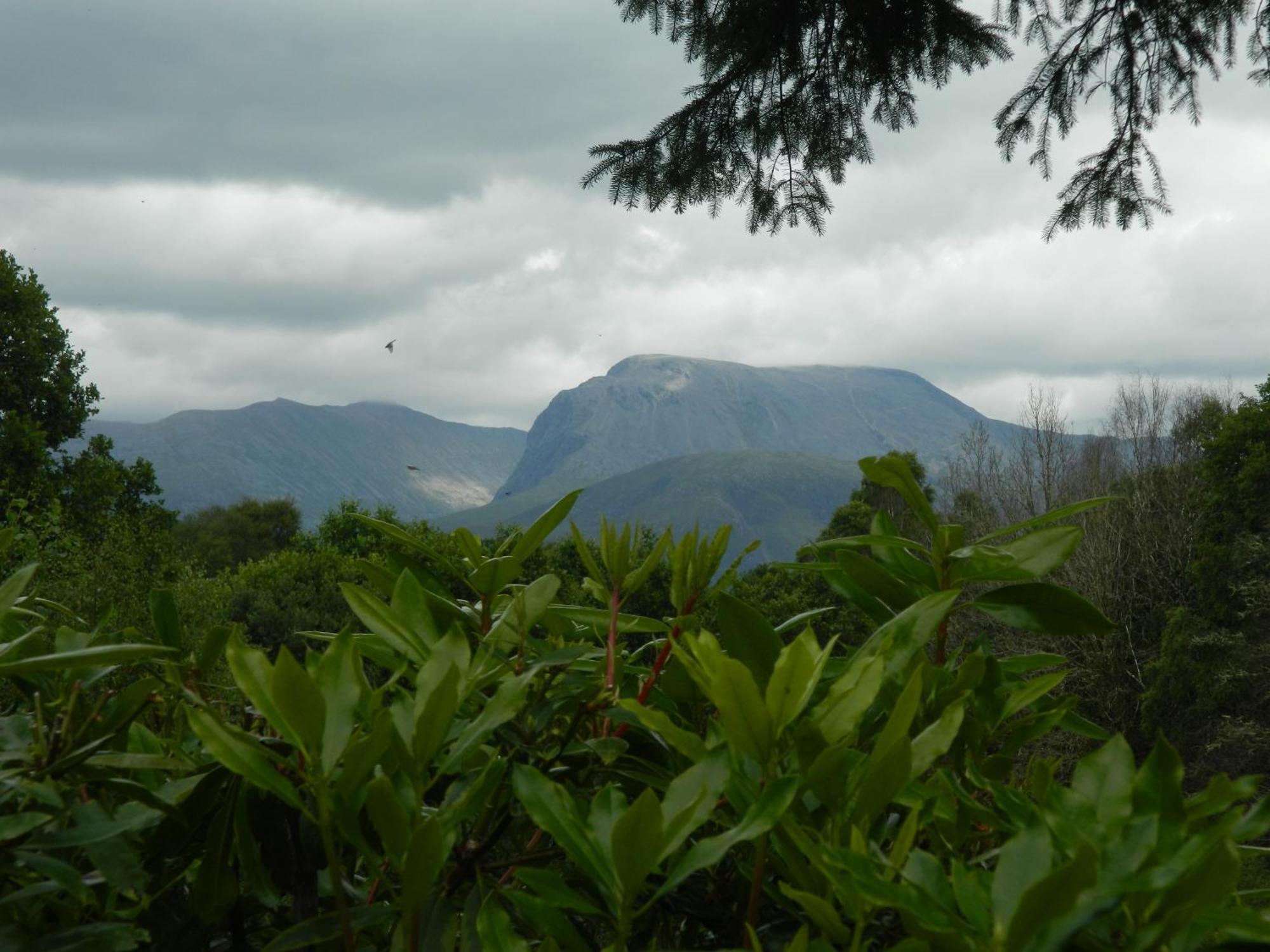 Tom Beag - Ben Nevis View Rooms フォート・ウィリアム エクステリア 写真