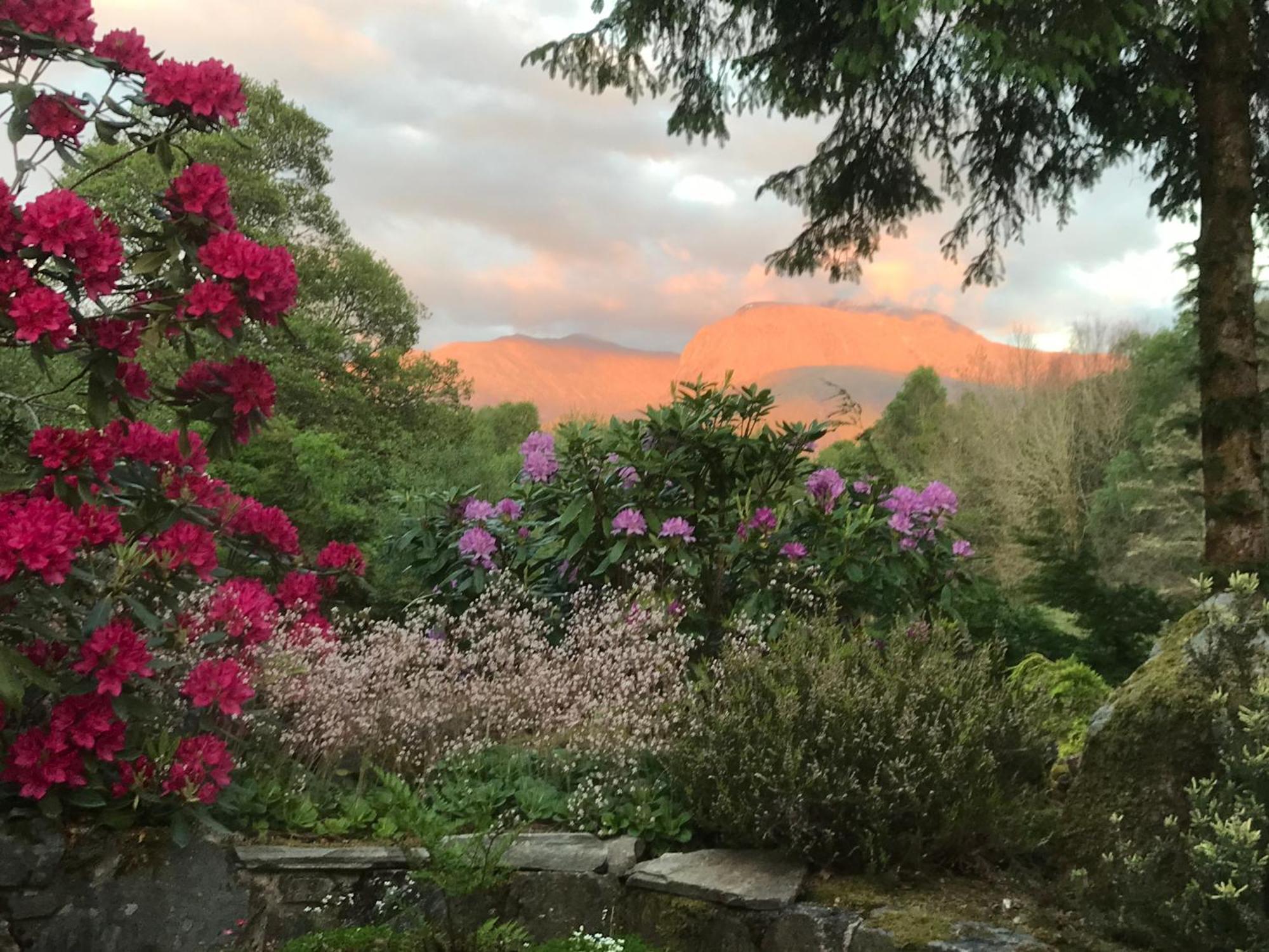 Tom Beag - Ben Nevis View Rooms フォート・ウィリアム エクステリア 写真