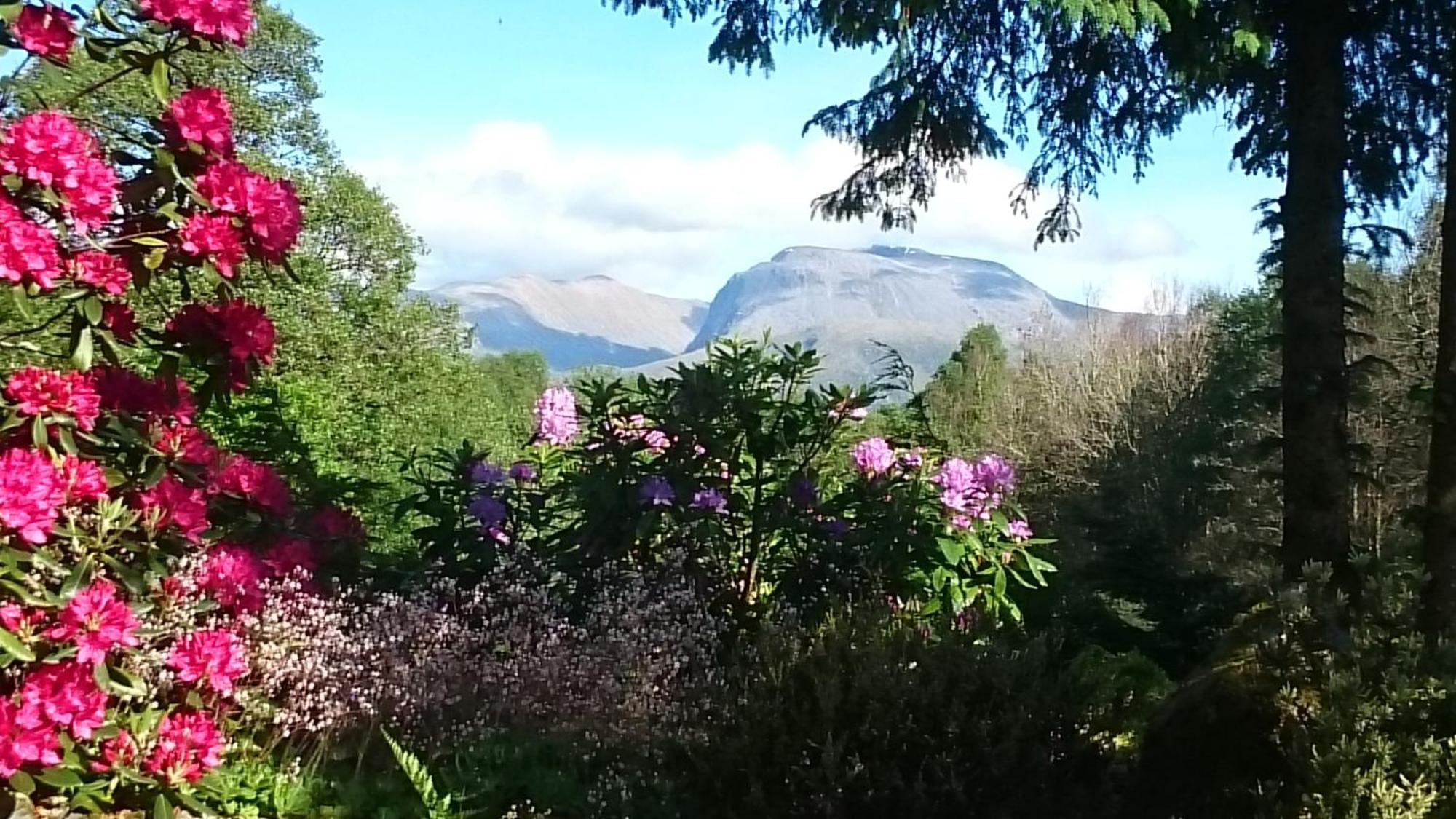 Tom Beag - Ben Nevis View Rooms フォート・ウィリアム エクステリア 写真